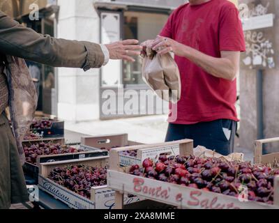 Cremona, Italien - 27. Mai 2024 Frau kauft frische Kirschen auf dem Markt. Sie übergibt Geld an den Verkäufer, der die Früchte in ein Braun bringt Stockfoto