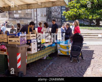 Cremona, Italien - 27. Mai 2024 auf einem Bauernmarkt im Freien kaufen Menschen frische Produkte ein. Ein Anbieter hilft Kunden bei der Auswahl der perfekten IT Stockfoto