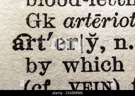 Wort Arterie auf Wörterbuchseite, Makronaht Stockfoto