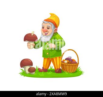 Cartoon-Zwergfigur auf der Suche nach Pilzen. Isolierte Vektor-Jolly-Elfenfigur in einem lebendigen Outfit, mit einem großen Pilz, mit Korb, der mit einer Vielzahl von Pilzen auf einem üppigen grünen Feld gefüllt ist Stock Vektor