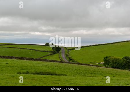 Eine Landstraße schlängelt sich zwischen grünen Feldern und Trockenmauern. Stockfoto