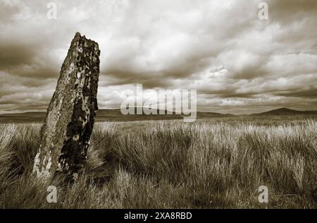 Carreg Waun Llech ist ein großer, verwitterter Kalkstein, der in einer sumpfigen Höhle auf den Mooren oberhalb von Llangynidr steht Stockfoto