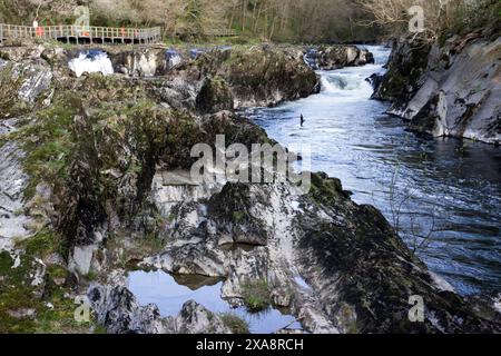 Die Cenarth Bridge ist eine einspurige Brücke über den Teifi, die 1785 von David Edwards gebaut wurde. Stockfoto