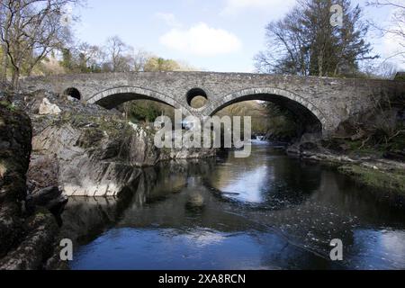 Die Cenarth Bridge ist eine einspurige Brücke über den Teifi, die 1785 von David Edwards gebaut wurde. Stockfoto