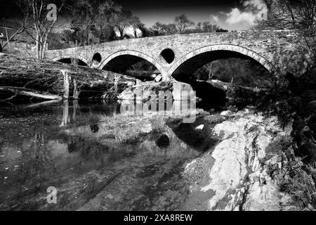 Die Cenarth Bridge ist eine einspurige Brücke über den Teifi, die 1785 von David Edwards gebaut wurde. Stockfoto