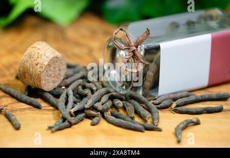 Langer Pfeffer (Piper longum), auf einem Holzteller mit Glasbehälter Stockfoto