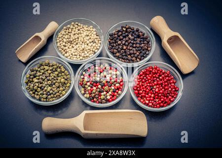 Pfeffermischung aus rotem, schwarzem, weißem und grünem Pfeffer in Glasschalen mit Holzschaufel Stockfoto