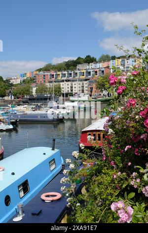 Bristol, Großbritannien. Juni 2024. Sonniger Juni-Morgen am Hafen. Schöne Blumenausstellung im Marnia. Quelle: JMF News/Alamy Live News Stockfoto