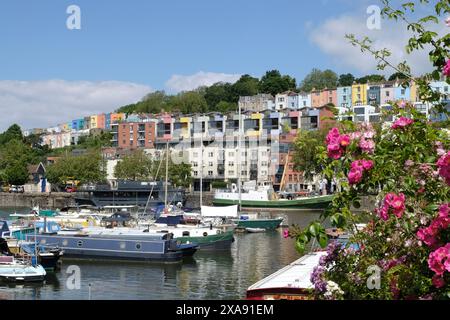 Bristol, Großbritannien. Juni 2024. Sonniger Juni-Morgen am Hafen. Schöne Präsentation im Marina. Quelle: JMF News/Alamy Live News Stockfoto