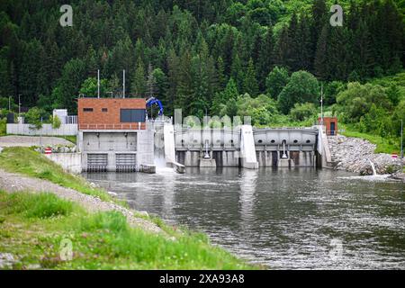 In einem bewaldeten Gebiet wird ein kleiner Wasserkraftdamm betrieben, der beispielhaft für eine nachhaltige Energieerzeugung ist. Stockfoto