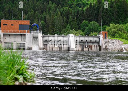 In einem bewaldeten Gebiet wird ein kleiner Wasserkraftdamm betrieben, der beispielhaft für eine nachhaltige Energieerzeugung ist. Stockfoto