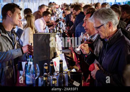 Natur Genuss Wein Weinanbau Kunst Kultur Welterbe Kalterersee Charta 31.05.2024 Kaltern/Kaltern Italien Südtirol Kaltern am Kalterer See/Kaltern g Stockfoto