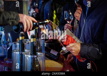 Natur Genuss Wein Weinanbau Kunst Kultur Welterbe Kalterersee Charta 31.05.2024 Kaltern/Kaltern Italien Südtirol Kaltern am Kalterer See/Kaltern g Stockfoto