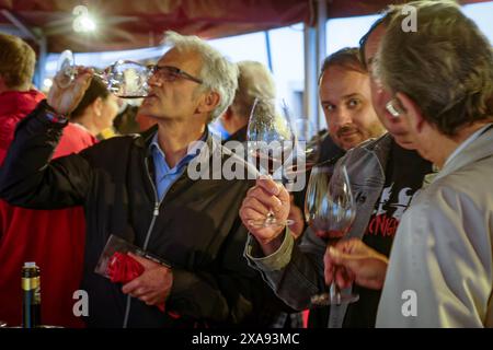 Natur Genuss Wein Weinanbau Kunst Kultur Welterbe Kalterersee Charta 31.05.2024 Kaltern/Kaltern Italien Südtirol Kaltern am Kalterer See/Kaltern g Stockfoto