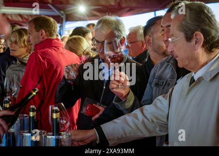 Natur Genuss Wein Weinanbau Kunst Kultur Welterbe Kalterersee Charta 31.05.2024 Kaltern/Kaltern Italien Südtirol Kaltern am Kalterer See/Kaltern g Stockfoto