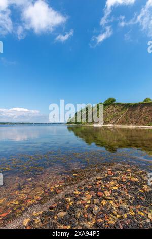 Uferlinie mit Ziegelsteinen der alten Ziegelwerke, Halbinsel Holnis am Flensburger Fjord, steile Klippe, Glücksburg, Schleswig-Holstein, Norddeutschland Stockfoto