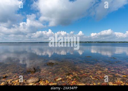 Uferlinie mit Ziegelsteinen der alten Ziegelwerke, Halbinsel Holnis am Flensburger Fjord, Glücksburg, Schleswig-Holstein, Norddeutschland Stockfoto