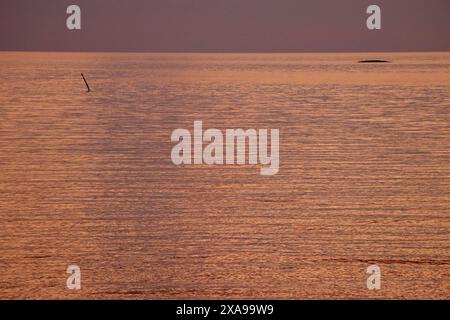 Die stillen und purplistischen Momente nach Sonnenuntergang auf den Inseln im Flällbacka-Archipel an der Westküste Schwedens. Stockfoto