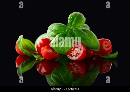 Tomatenkirsche mit Basilikum auf schwarzem reflektierendem Hintergrund. Stockfoto