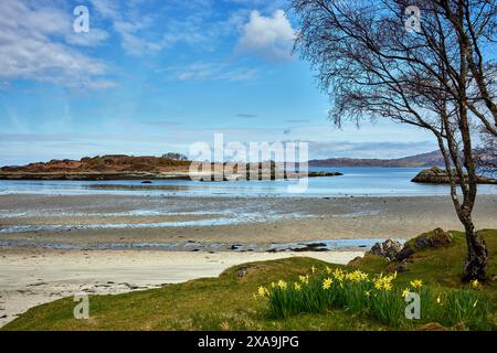 Ein Blick auf die Ebbe im April mit Blick nach Norden über Samalaman Beach bei Glenuig in Moidart. Schottland Stockfoto