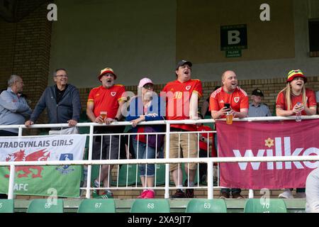 POSEN, POLEN - 4. JUNI 2024: Walisische Fans beim Qualifikationsspiel der UEFA Women’s Euro 2025 in der Liga B zwischen ukrainischen Frauen und walisischen Frauen im Stadion Miejski W Grodzisku in Polen am 4. Juni 2024. (Bild von Ashley Crowden/FAW) Stockfoto