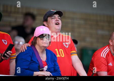 POSEN, POLEN - 4. JUNI 2024: Walisische Fans beim Qualifikationsspiel der UEFA Women’s Euro 2025 in der Liga B zwischen ukrainischen Frauen und walisischen Frauen im Stadion Miejski W Grodzisku in Polen am 4. Juni 2024. (Bild von Ashley Crowden/FAW) Stockfoto