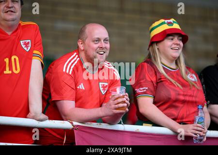 POSEN, POLEN - 4. JUNI 2024: Walisische Fans beim Qualifikationsspiel der UEFA Women’s Euro 2025 in der Liga B zwischen ukrainischen Frauen und walisischen Frauen im Stadion Miejski W Grodzisku in Polen am 4. Juni 2024. (Bild von Ashley Crowden/FAW) Stockfoto