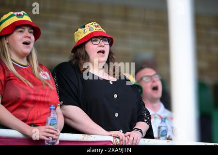 POSEN, POLEN - 4. JUNI 2024: Walisische Fans beim Qualifikationsspiel der UEFA Women’s Euro 2025 in der Liga B zwischen ukrainischen Frauen und walisischen Frauen im Stadion Miejski W Grodzisku in Polen am 4. Juni 2024. (Bild von Ashley Crowden/FAW) Stockfoto