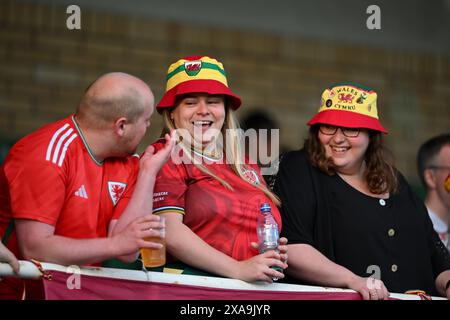 POSEN, POLEN - 4. JUNI 2024: Walisische Fans beim Qualifikationsspiel der UEFA Women’s Euro 2025 in der Liga B zwischen ukrainischen Frauen und walisischen Frauen im Stadion Miejski W Grodzisku in Polen am 4. Juni 2024. (Bild von Ashley Crowden/FAW) Stockfoto