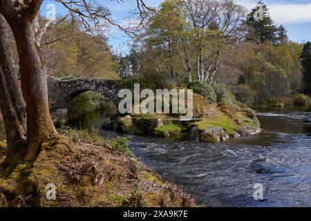 Blick vom Wikinger Cottge über Glenuig Bay, Glenuig Stockfoto