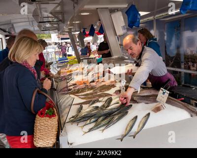 Französischer Fischmarkt IN DER BRETAGNE verkauft verschiedene lokale französische Fischsorten, darunter Makrele in Moëlan sur Mer Brittany Frankreich Stockfoto