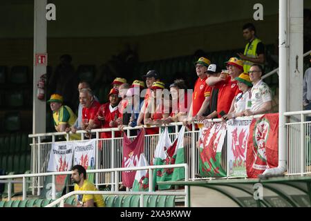 POSEN, POLEN - 4. JUNI 2024: Walisische Fans beim Qualifikationsspiel der UEFA Women’s Euro 2025 in der Liga B zwischen ukrainischen Frauen und walisischen Frauen im Stadion Miejski W Grodzisku in Polen am 4. Juni 2024. (Bild von Ashley Crowden/FAW) Stockfoto