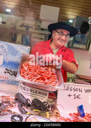 BRETONISCHE FISCHHÄNDLER GARNELEN DAMPFENDE LANOUSTINES FISCHSTAND MARKT CONCARNEAU täglich FRISCHES Interieur französischer Fischmarkt Halle und Charakter Fischhändler, im bretonischen Stil Outfit stolz seine lokalen dampfenden Lanoustinen zum Verkauf Concarneau Les Halles Innenmarkt Brittany Finistere Frankreich Stockfoto