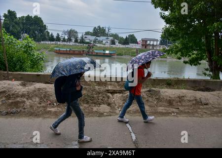 Srinagar, Indien. Juni 2024. Pendler halten Schirme, während sie während des Regenfalls in Srinagar, der Sommerhauptstadt von Jammu und Kaschmir, auf der Straße spazieren gehen. (Foto: Saqib Majeed/SOPA Images/SIPA USA) Credit: SIPA USA/Alamy Live News Stockfoto