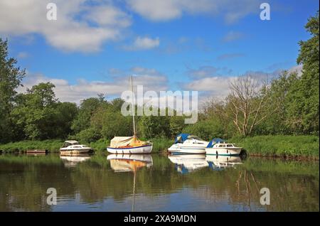 Boote mit Reflexionen, die am Ufer gegenüber der Werft am Fluss Bure an den Norfolk Broads in Belaugh, Norfolk, England, Großbritannien, vertäut sind. Stockfoto