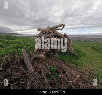 Holzstäbchen im Gras in Ballantrae, Ayrshire, Schottland, Großbritannien Stockfoto