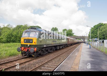 D1924, Crewe Diesel Depot, hinten am Fellsman 5. Juni 2024, Saphos trainiert die klassische Dampflok Sir Nigel Gresley, die durch den Bahnhof Long Preston fährt Stockfoto