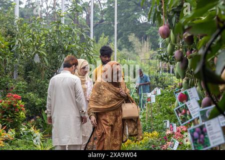 Dhaka, Bangladesch. Juni 2024. Besucher sahen Pflanzen, Bäume und Setzlinge während der monatelangen nationalen Baummesse in Bangladesch im Sher-e-Bangla Nagar. Eine monatelange Baummesse mit dem Titel "National Tree Fair" begann. (Foto: Sazzad Hossain/SOPA Images/SIPA USA) Credit: SIPA USA/Alamy Live News Stockfoto