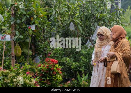 Dhaka, Bangladesch. Juni 2024. Besucher sahen Pflanzen, Bäume und Setzlinge während der monatelangen nationalen Baummesse in Bangladesch im Sher-e-Bangla Nagar. Eine monatelange Baummesse mit dem Titel "National Tree Fair" begann. (Foto: Sazzad Hossain/SOPA Images/SIPA USA) Credit: SIPA USA/Alamy Live News Stockfoto