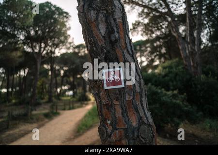 Ein Fahrradschild auf einem Baum in der Nähe einer Feldstraße Stockfoto