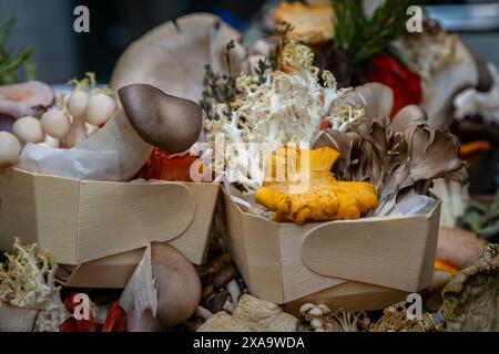 Eine Ausstellung exotischer Speisepilze zum Verkauf an einem Marktstand Stockfoto