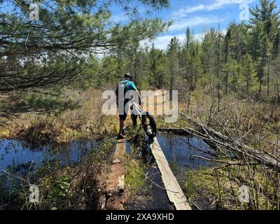 Ein Mann geht über eine Brücke, die einen sanften Bach überspannt Stockfoto