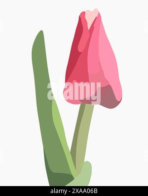Vektor-isolierte Illustration von Tulpen auf weißem Hintergrund. Stock Vektor