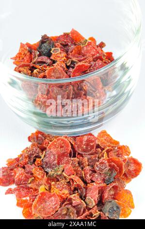 Getrocknet von Medicinal Plant Heckenrose, Rosa Canina Stockfoto