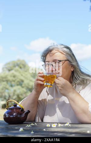 Vorderansicht einer Frau, die eine Tasse natürlichen Kamillentee auf einem Holztisch auf einem Feld mit Kamillenblüten um sie herum trinkt. Stockfoto