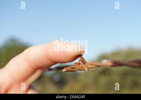 Nahaufnahme eines weiblichen Fingers, der sich mit rostigem Stacheldraht erstochen hat Stockfoto