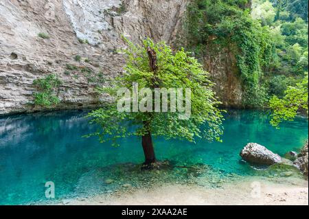 Ein kleiner Fluss schlängelt sich durch felsige Berge mit üppigen Bäumen Stockfoto