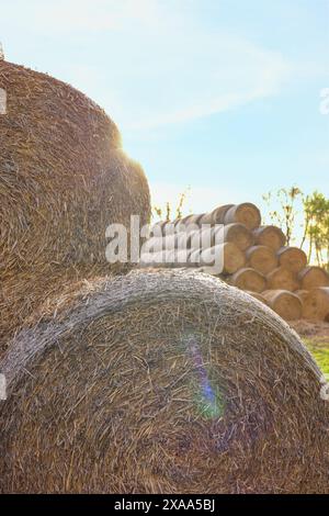 Viele Heuballen im Freien an sonnigen Tagen, Schließung Stockfoto