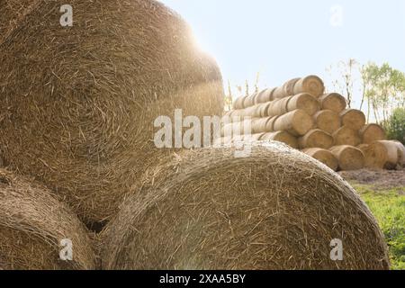 Viele Heuballen im Freien an sonnigen Tagen, Schließung Stockfoto