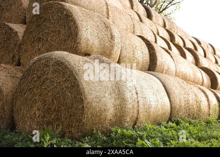 Viele Heuballen im Freien an sonnigen Tagen, Schließung Stockfoto